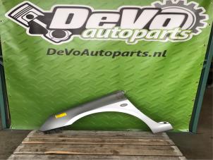 Used Front wing, left Peugeot 307 (3A/C/D) Price on request offered by DeVo Autoparts