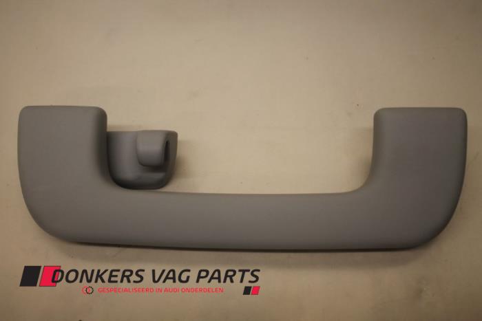 Roof grab handles