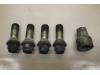 Set of wheel bolts from a Audi A6