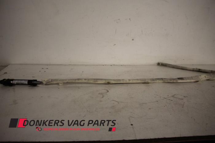Roof airbag