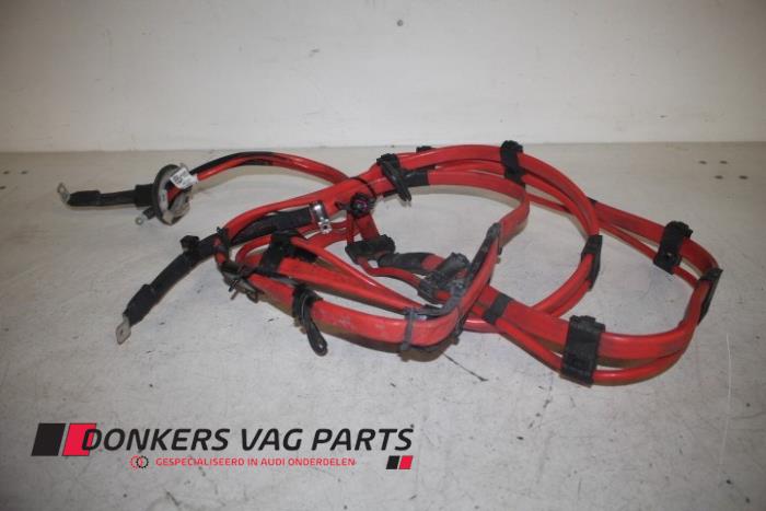Używane Kabel (rózne) Audi RS 6 Avant (C7) 4.0 V8 TFSI 32V Cena € 50,00 Z VAT oferowane przez Donkers VAG Parts