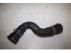 Radiator hose from a Audi A4 2018