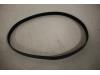Audi A5 (8T3) 2.0 TFSI 16V flexible fuel Quattro Courroie trapézoïdale multiple