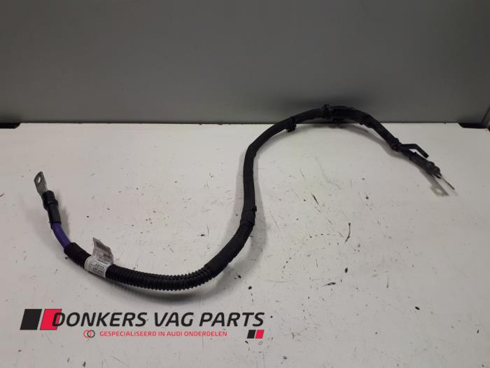 Używane Kabel (rózne) Audi RS 6 Avant (C8) 4.0 V8 TFSI Mild Hybrid 32V Cena € 35,00 Procedura marży oferowane przez Donkers VAG Parts