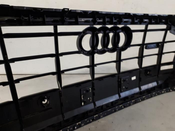 Grille from a Audi Q8 (4MN)