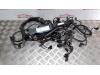 Wiring harness from a Mercedes CLA (117.3), 2013 / 2019 1.6 CLA-180 16V, Saloon, 4-dr, Petrol, 1.595cc, 90kW (122pk), FWD, M270910, 2013-01 / 2019-03, 117.342 2013