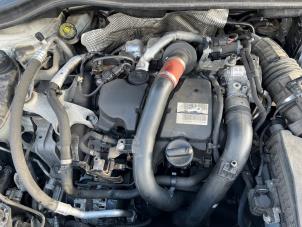 Używane Silnik Mercedes B (W246,242) 1.5 B-180 CDI 16V Cena na żądanie oferowane przez SH Carparts