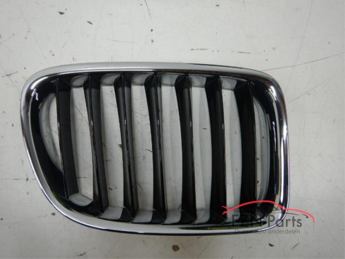 Begagnade Grill BMW X1 (F48) Pris € 49,01 Inklusive moms erbjuds av FZN Parts