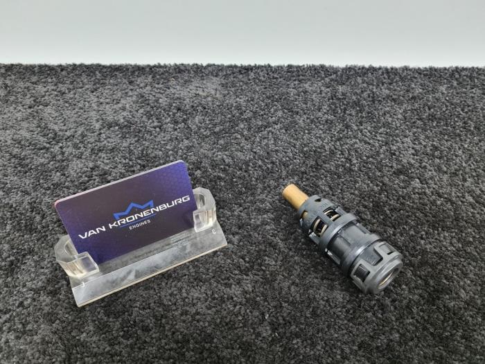 Gebrauchte Thermostat Audi A6 (C8) 3.0 V6 24V 55 TFSI Mild hybrid Quattro Preis € 24,95 Mit Mehrwertsteuer angeboten von Van Kronenburg Engines