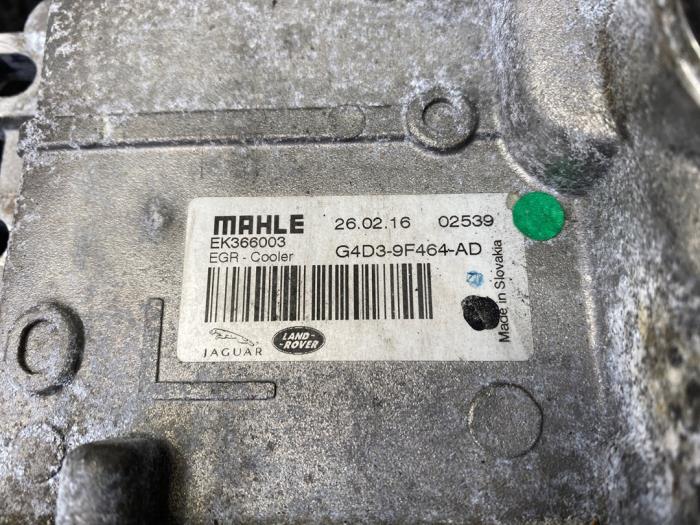 EGR cooler Jaguar F-Pace 2.0 D 180 16V - G4D39F464AD 204DTD