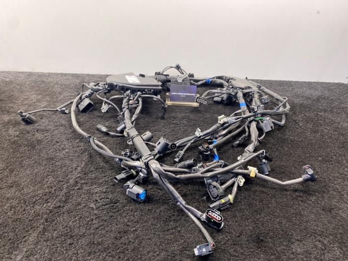Mazo de cables de un Mercedes-Benz S (W222/V222/X222) 3.0 S-350 BlueTEC, S-350 d 24V 4-Matic 2016