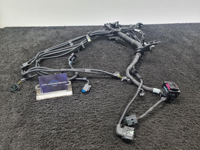 Wiring harness from a BMW 3 serie (F30) 340i xDrive 3.0 TwinPower Turbo 24V 2018