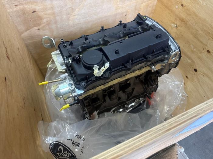 Engine Ford Transit (New)