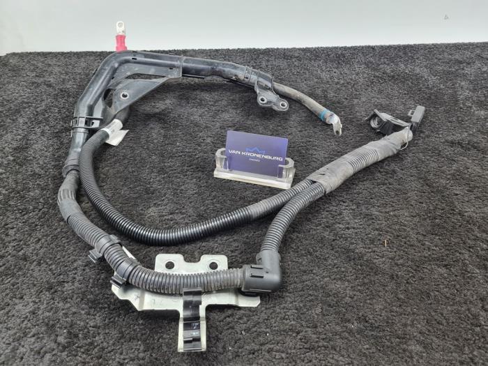 Gebrauchte Kabelbaum Fiat Ducato (250) 2.3 D 130 Multijet 4x4 Preis € 40,00 Mit Mehrwertsteuer angeboten von Van Kronenburg Engines