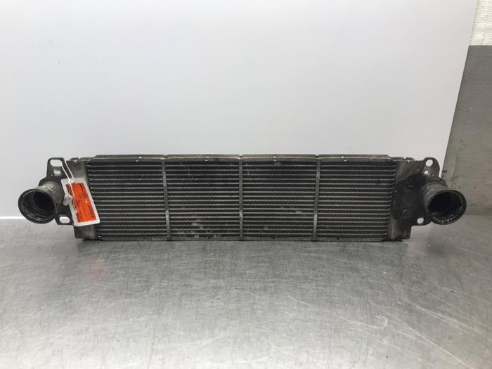 Used Intercooler Volkswagen Multivan T5 (7E/7HC/7HF/7HM) 2.5 TDi Price on request offered by Autosloperij Alexander