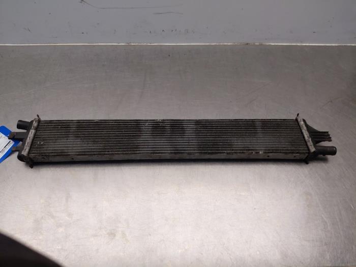 Usados Intercooler Renault Master III (MA/MB/MC/MD/MH/MF/MG/MH) 2.3 dCi 150 16V Precio de solicitud ofrecido por Autosloperij Alexander