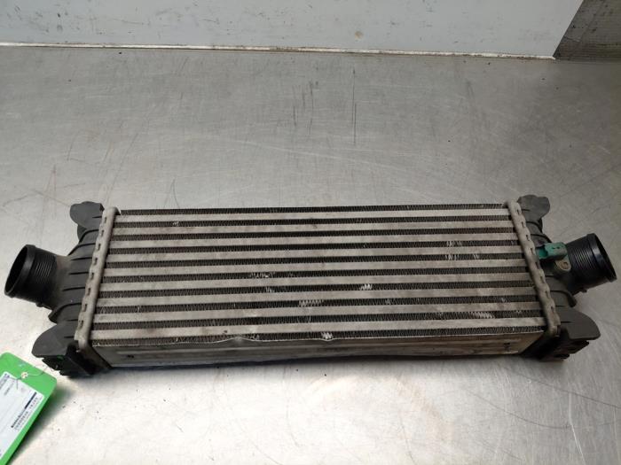Usagé Intercooler Ford Transit Custom 2.2 TDCi 16V Prix sur demande proposé par Autosloperij Alexander