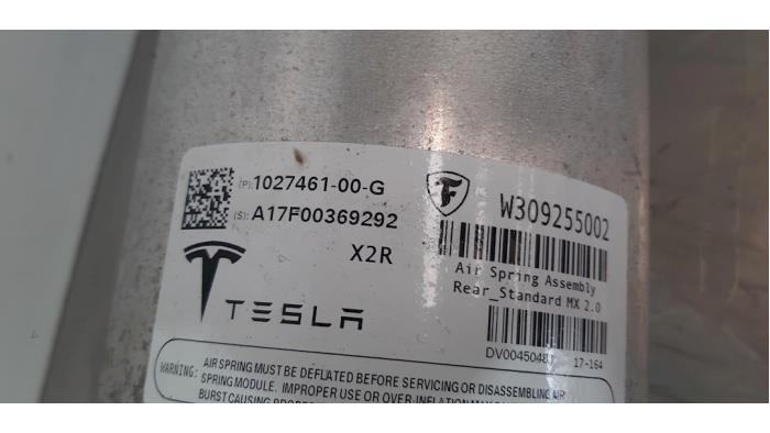 Rear shock absorber, left from a Tesla Model X P100D 2017
