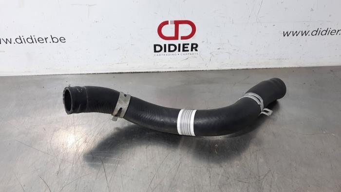 Radiator hose from a Kia Rio IV (YB) 1.0i T-GDi 100 12V 2019