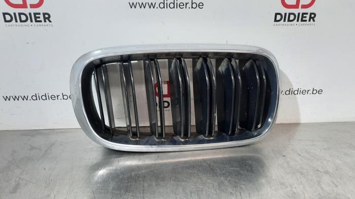 Używane Grill BMW X6 (F16) M Turbo 4.4i V8 32V Cena € 54,45 Z VAT oferowane przez Autohandel Didier