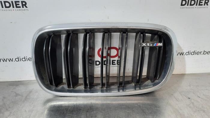 Używane Grill BMW X6 (F16) M Turbo 4.4i V8 32V Cena € 60,50 Z VAT oferowane przez Autohandel Didier