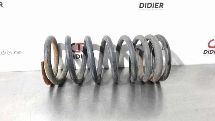 Spring Rear Td Landrover Defender I 2.2 TD4 16V Rear torsion springs stock
