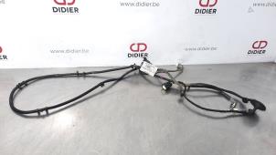 Usados Mazo de cables PDC Ford Transit 2.0 TDCi 16V Eco Blue 130 Precio € 24,20 IVA incluido ofrecido por Autohandel Didier