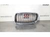 Grille from a BMW 3 serie Touring (E91), 2004 / 2012 318d 16V, Combi/o, Diesel, 1.995cc, 105kW (143pk), RWD, N47D20A; N47D20C, 2007-09 / 2012-06 2011