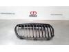 BMW 2 serie Active Tourer (F45) 218d 2.0 TwinPower Turbo 16V Grill
