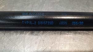 Used Set of tailgate gas struts Volkswagen Golf VIII (CD1) 1.5 TSI BlueMotion 16V Price € 54,45 Inclusive VAT offered by Autohandel Didier
