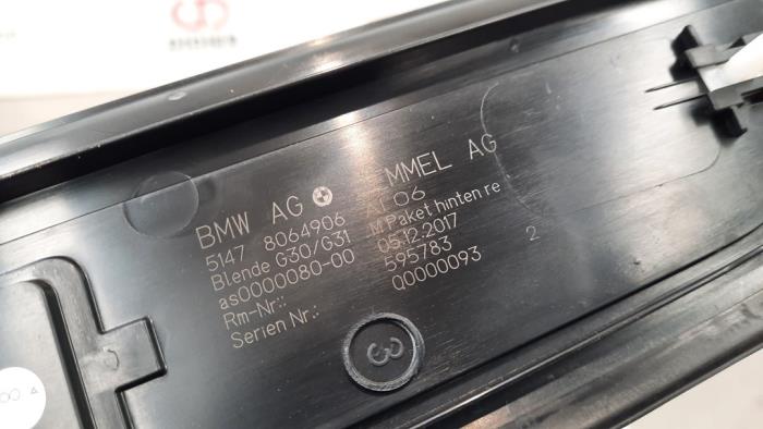Listwa drzwiowa z BMW 5 serie (G30) 520d 2.0 TwinPower Turbo 16V 2019