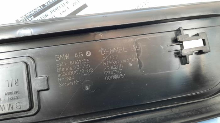 Embellecedor de puerta de un BMW 5 serie (G30) 520d 2.0 TwinPower Turbo 16V 2019