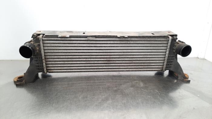 Used Intercooler Iveco New Daily V 35C15V, 40C15V Price € 60,50 Inclusive VAT offered by Autohandel Didier