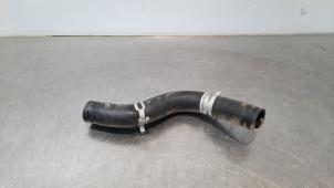 Used Radiator hose Hyundai i30 (PDEB5/PDEBB/PDEBD/PDEBE) 1.0 T-GDI 12V Price € 24,20 Inclusive VAT offered by Autohandel Didier