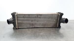 Used Intercooler Ford Transit 2.0 TDCi 16V Eco Blue 130 Price € 102,85 Inclusive VAT offered by Autohandel Didier