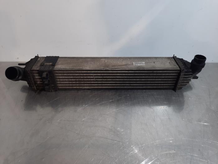 Usagé Intercooler Renault Laguna III Estate (KT) 2.0 dCi 16V 150 Prix € 60,50 Prix TTC proposé par Autohandel Didier