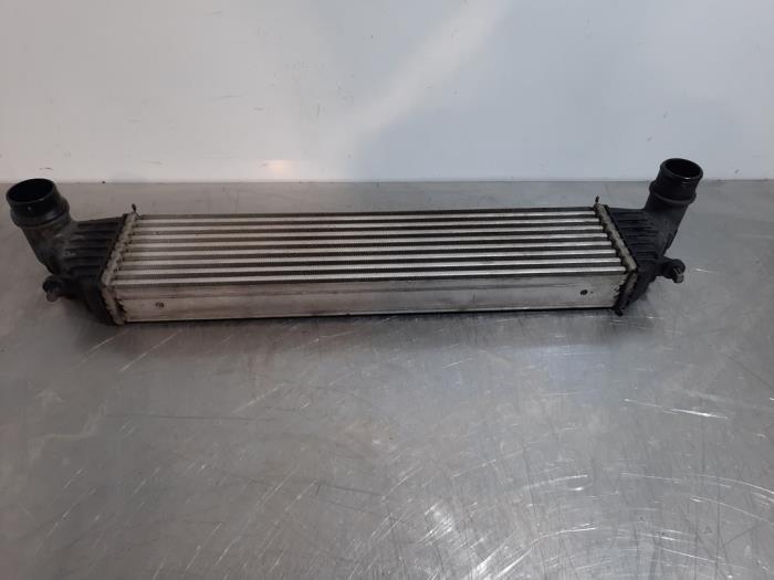 Usados Intercooler Fiat Tipo (356H/357H) 1.3 D Multijet II 16V Precio € 60,50 IVA incluido ofrecido por Autohandel Didier