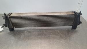 Used Intercooler Isuzu D-Max (TFR/TFS) 2.5 D Twin Turbo 4x4 Price € 163,35 Inclusive VAT offered by Autohandel Didier