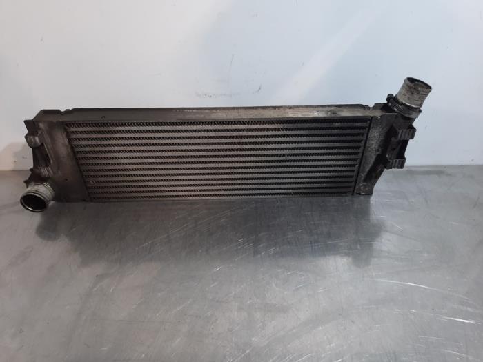Usagé Intercooler Renault Megane II (BM/CM) 1.9 dCi 130 Prix € 60,50 Prix TTC proposé par Autohandel Didier