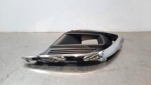 Used Fog light cover plate, right Renault Scenic Price € 30,25 Inclusive VAT offered by Autohandel Didier