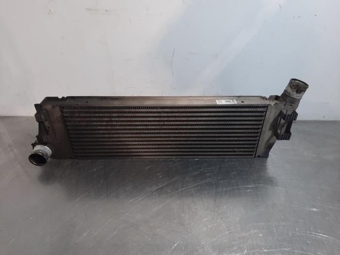 Usagé Intercooler Renault Megane II CC (EM) 1.9 dCi 130 Prix € 60,50 Prix TTC proposé par Autohandel Didier