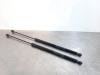 Ford C-Max Set of tailgate gas struts