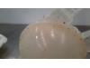 Expansion vessel from a Opel Crossland/Crossland X 1.2 Turbo 12V 2020