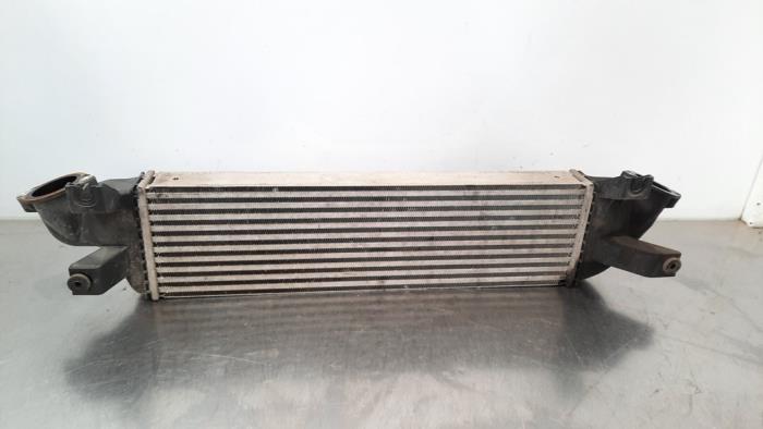 Usados Intercooler Fiat Fullback 2.4 Turbodiesel 180 4x4 Precio € 133,10 IVA incluido ofrecido por Autohandel Didier