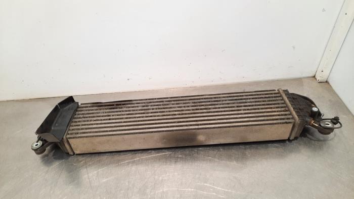 Usagé Intercooler Mazda CX-5 I (KE,GH) 2.2 Skyactiv D 175 16V 4WD Prix € 133,10 Prix TTC proposé par Autohandel Didier