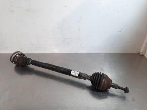 Used Front drive shaft, right Audi A3 (8V1/8VK) 2.0 TDI 16V Price € 127,05 Inclusive VAT offered by Autohandel Didier