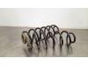 DS DS 4/DS 4 Crossback (NX) 1.6 BlueHDI 120 Rear coil spring