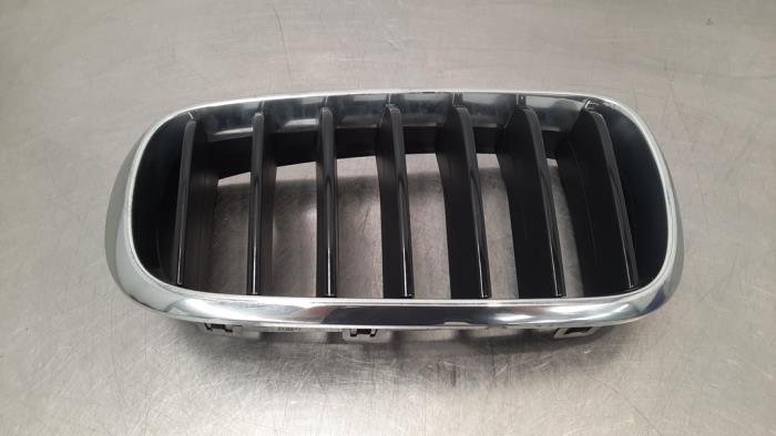 Używane Grill BMW X6 (F16) xDrive30d 3.0 24V Cena € 36,30 Z VAT oferowane przez Autohandel Didier