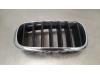 BMW X6 (F16) xDrive30d 3.0 24V Grill