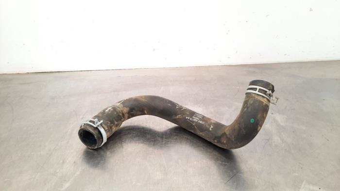 Radiator hose from a Ford Ka+ 1.2 Ti-VCT 2019